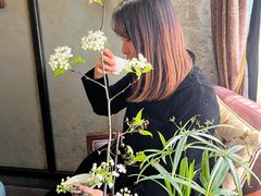 -31号公馆(黄兴广场白果园店)