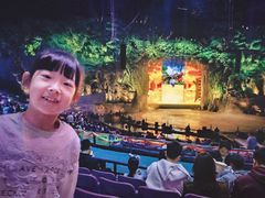 -广州长隆国际大马戏
