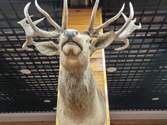 -北京鹿世界主题园