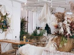 -共舞时光猫咖·狗咖(新街口店)