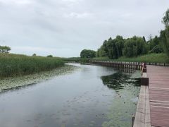 -苏州太湖湖滨国家湿地公园
