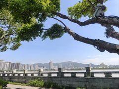 -江心屿景区