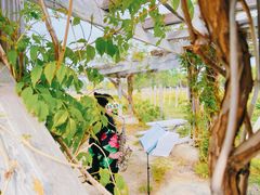 -安德鲁户外烧烤帐篷营地(马泉营店)