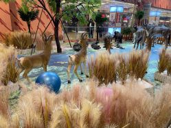 点击看大图 -卡通尼·Safari非洲探索乐园·生日会(金桥国际商业广场店)