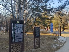 -元大都城垣遗址公园