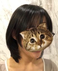 -木北造型