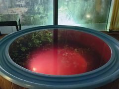 -春晖园度假酒店温泉