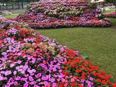 -怡咖啡·自助餐·西安香格里拉