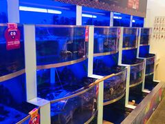 水产区-七欣天(浦东羽山乐坊店)