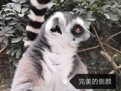 -成都动物园