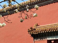 -北京市劳动人民文化宫(太庙)