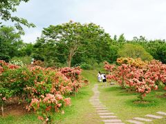 -中国科学院西双版纳热带植物园