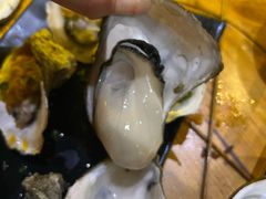 -土蚝·高压锅生蚝(百姓美食街店)