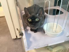 -墨more调香馆DIY自调香水(博雅国际中心B座店)