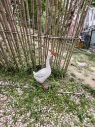 -268童话露营农场·烧烤·团建