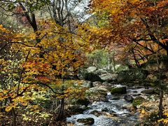 -本溪老边沟风景区