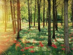 -狼山风景名胜区