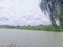 -东莞植物园