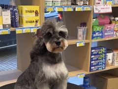 -瑞派康怡24h宠物医院·犬猫医疗中心·微创绝育(瑞景分院)