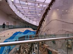 -陕西自然博物馆