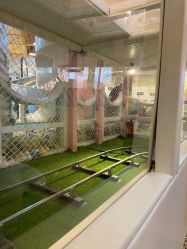 -多多淘儿童体验中心(重庆来福士店)