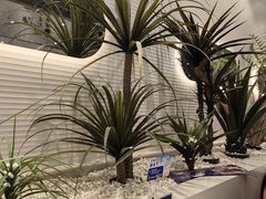 -兰湘子·湘菜小炒(崂山丽达店)