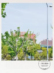 -上海市儿童医院(泸定路院区)