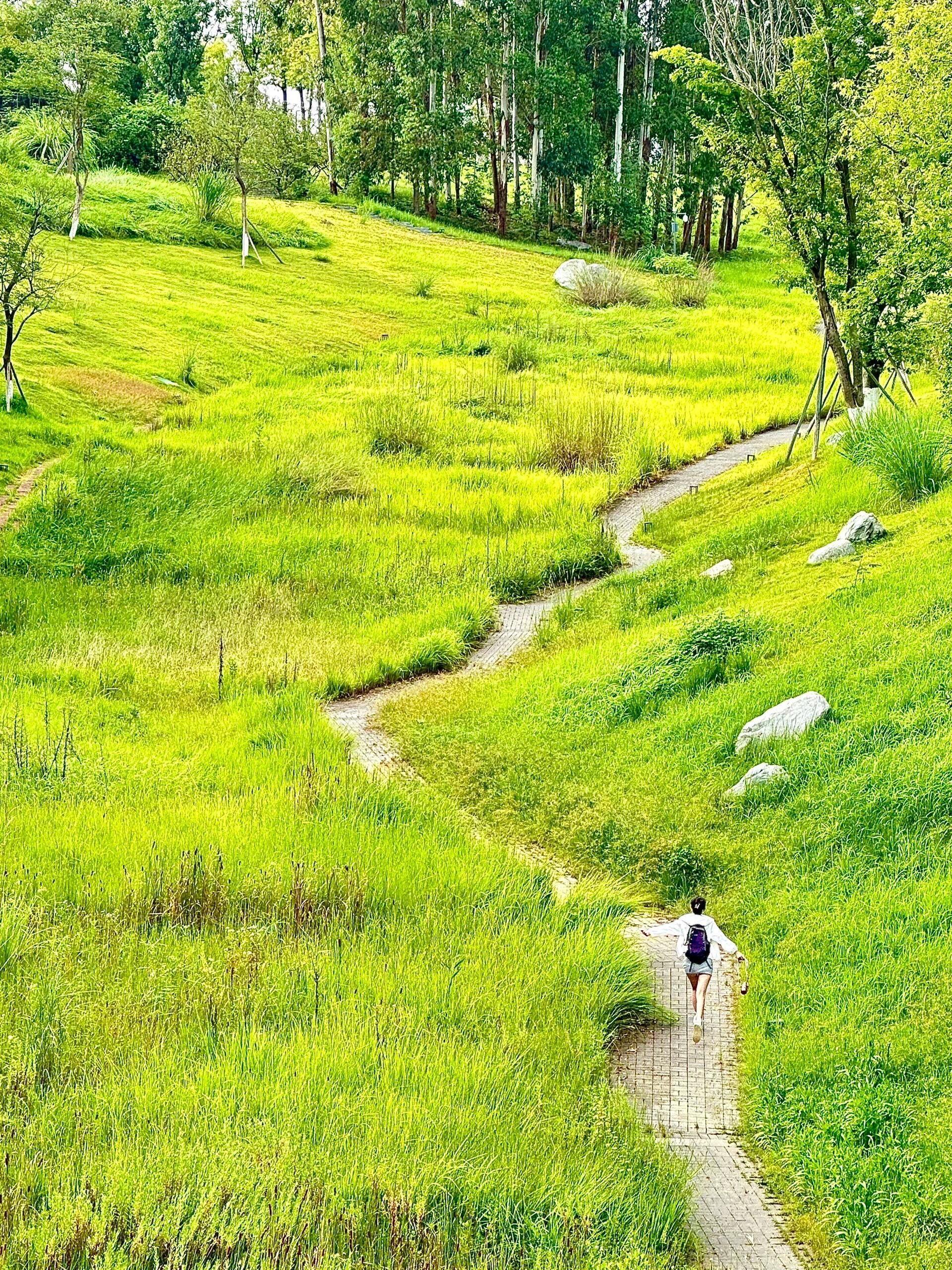 在成都!我会反复爱上的宝藏森林公园