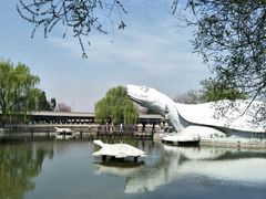 -东方巨龟苑景区