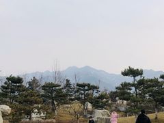 -沣峪口