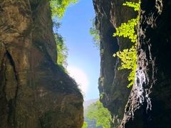 -牛背梁国家森林公园