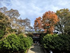 -灵谷景区