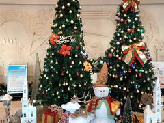 -张家港华芳金陵国际酒店