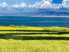 -青海湖国家重点风景名胜区