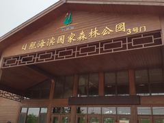 -日照海滨国家森林公园