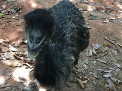-广东茂名森林公园