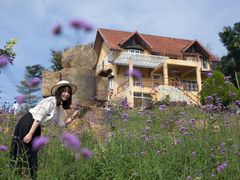 -黄色小屋