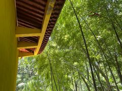 -老山国家森林公园