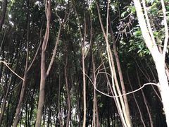 -西南交通大学(峨眉校区)