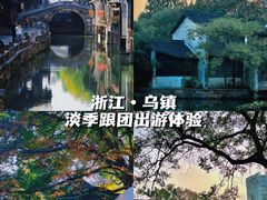 -乌镇西栅景区