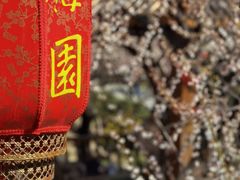 -无锡梅园公园