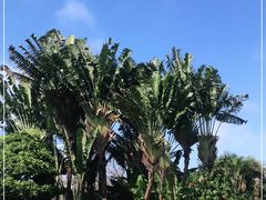 -白沙门生态公园