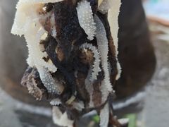 -原柳滩高台阶涮羊肉