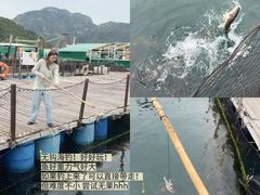-南丫岛