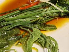 丝瓜尖-懒人盐府人家·自贡大麻鱼(安贞店)