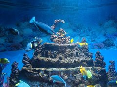 -海合安成都极地海洋公园