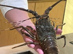 -松临·铁板烧&Omakase(神农店)