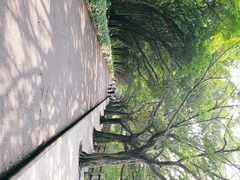 -大湾区中央湿地公园