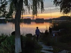 -大兴滨河森林公园