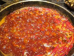 -蜀大侠火锅(总府路店)